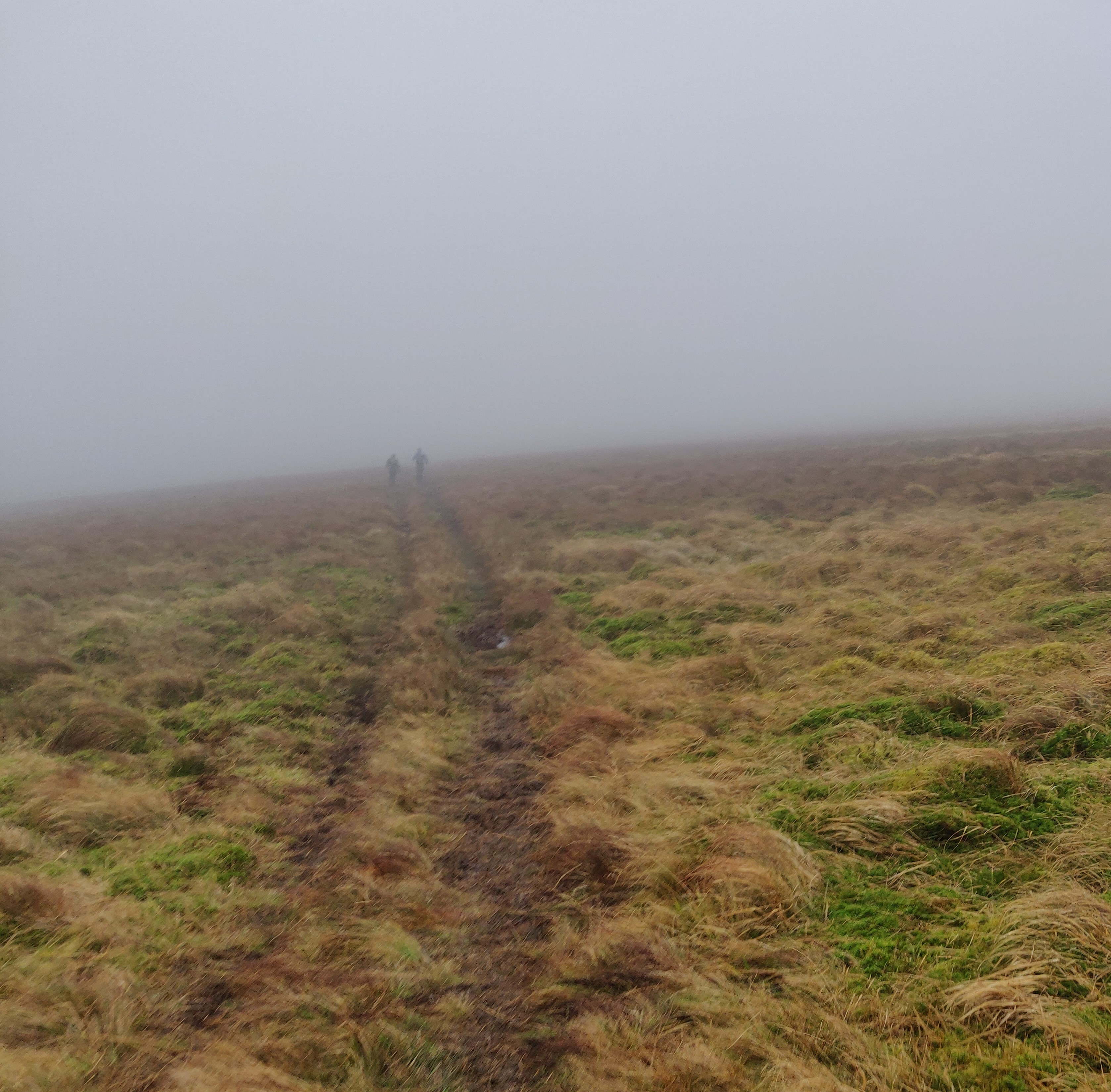 Typical path on the ridge